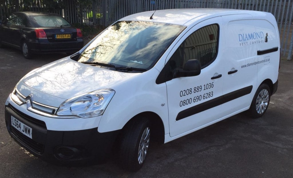 van image 3