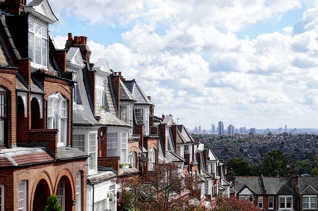 residential pest control residential pest control