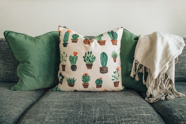 furniture with fleas