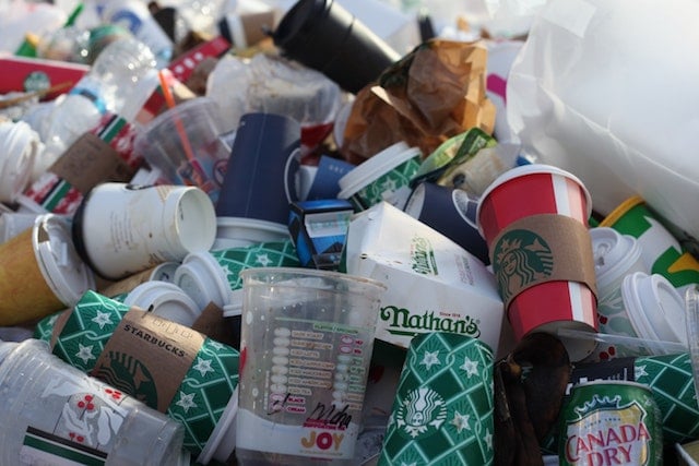 rubbish attracts rats