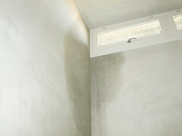 Damp moisture