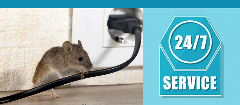 mouse control