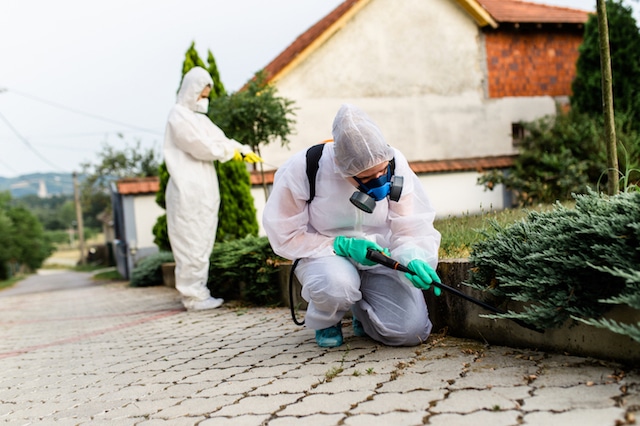 pest control safety