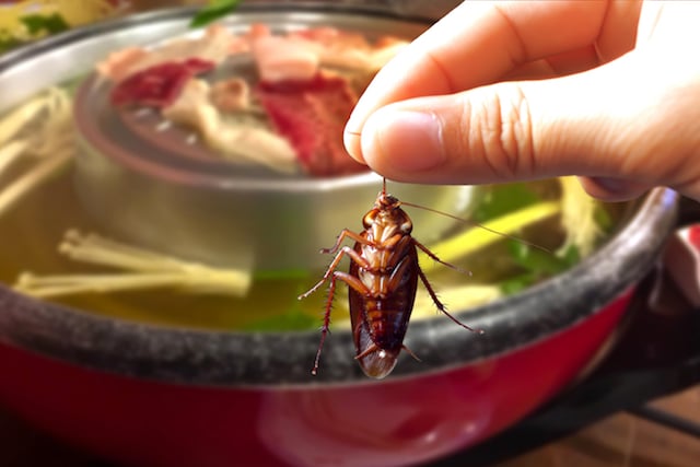Cockroaches are in the food.