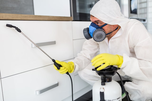pest control west london exterminator
