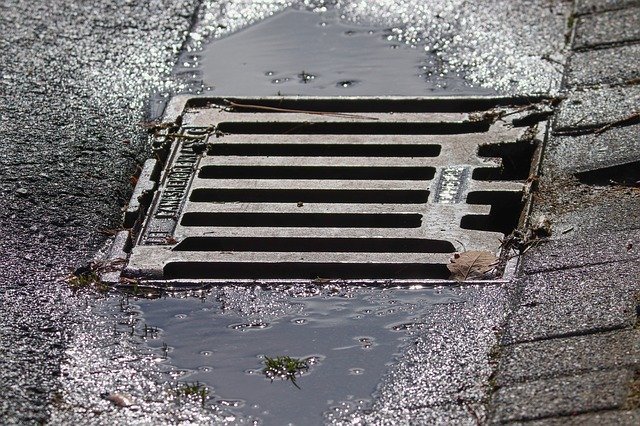 rat flaps for drains
