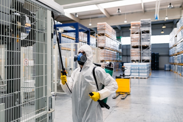 commercial pest inspection