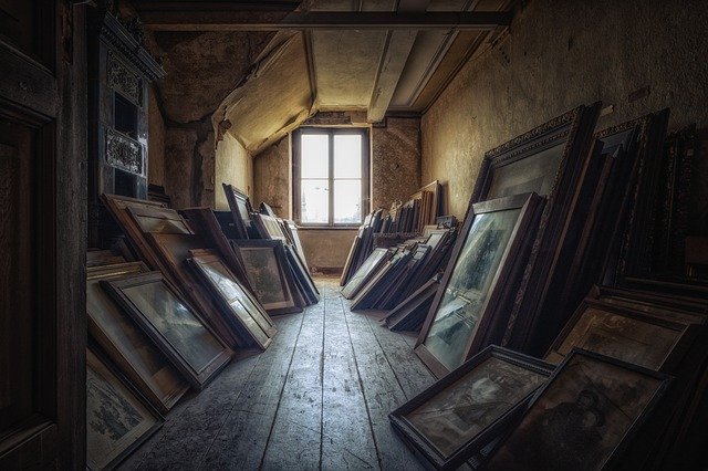 dusty insects in attic