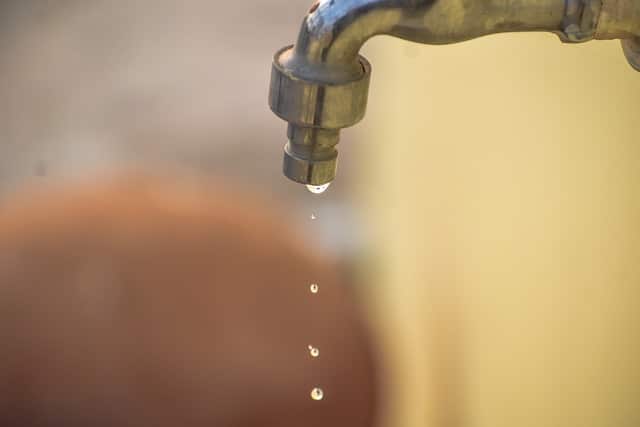 leaky tap attracts pests