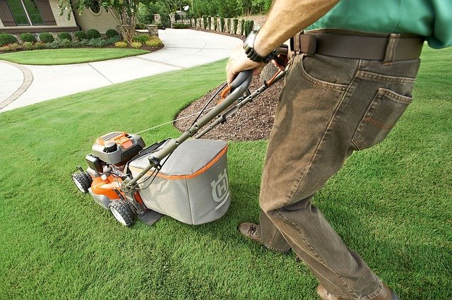 mowing lawn in garden