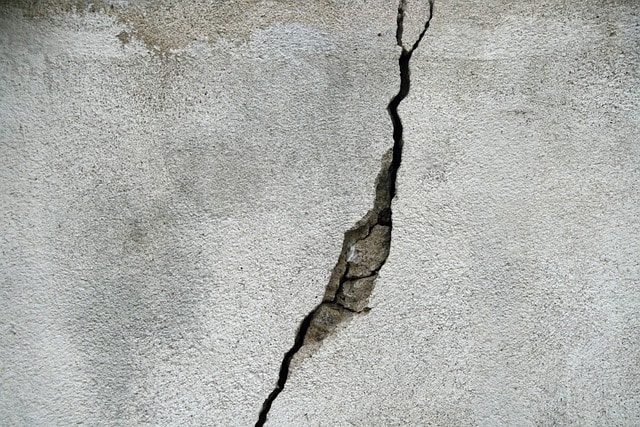 crack in london house causing pests