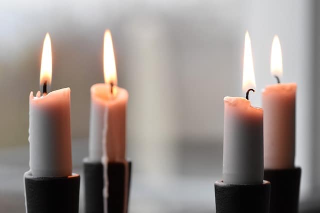 mice eat candles