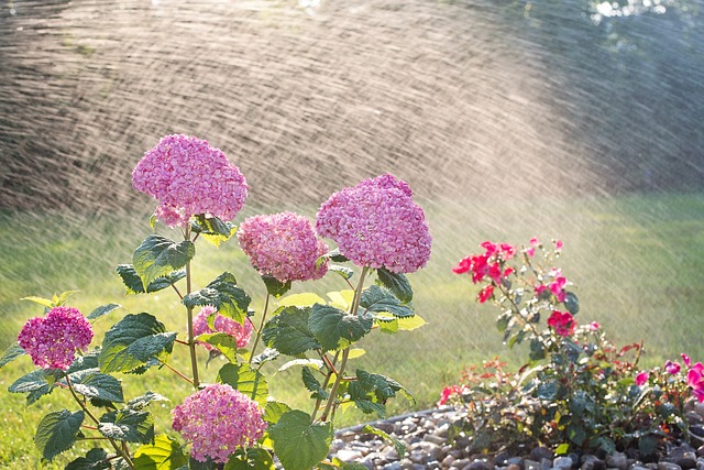 garden sprinkler