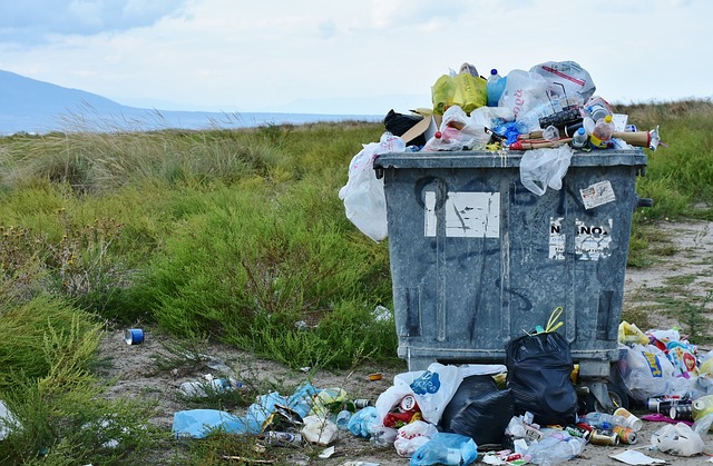 waste in london park